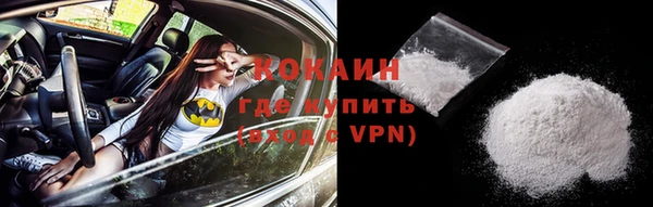 гашик Бородино