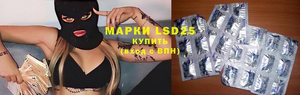 гашик Бородино