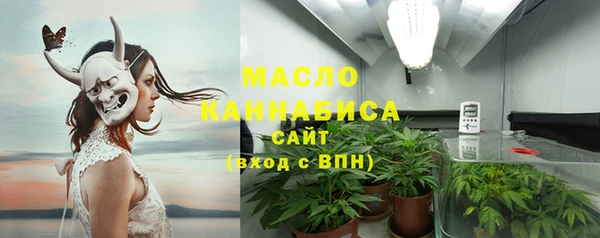 гашик Бородино