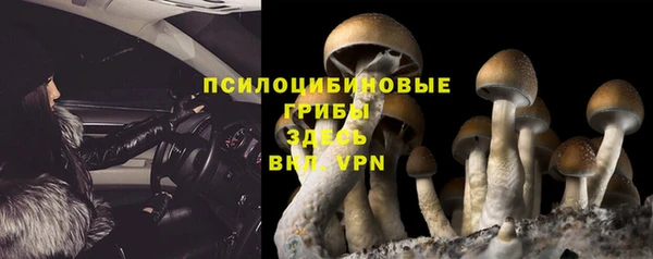 ПСИЛОЦИБИНОВЫЕ ГРИБЫ Бронницы