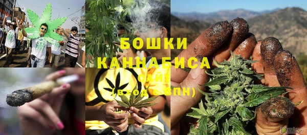 ПСИЛОЦИБИНОВЫЕ ГРИБЫ Бронницы