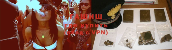гашик Бородино