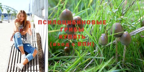 ПСИЛОЦИБИНОВЫЕ ГРИБЫ Бронницы