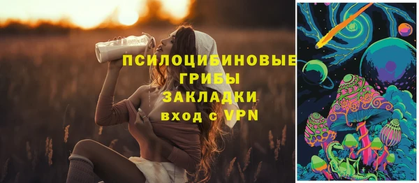 гашик Бородино