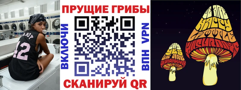 Псилоцибиновые грибы GOLDEN TEACHER MEGA ССЫЛКА Верещагино что такое